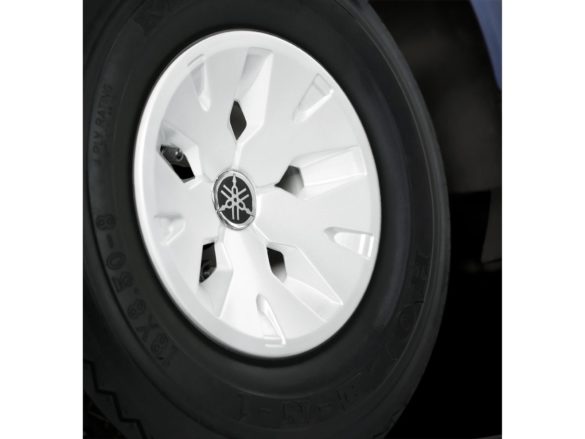 You'll enjoy a smooth ride in style on your new golf cart.