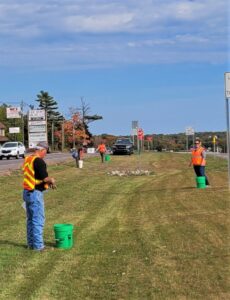 Native Planting Project